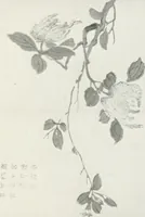 An illustration from Der chinesische farbendruck (1922)