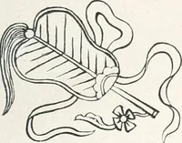 Picture 15 of 52 from Der chinesische Teppich (1921), leaf 62