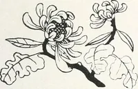 Picture 31 of 52 from Der chinesische Teppich (1921), leaf 74
