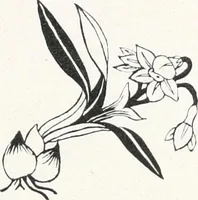 An illustration from Der chinesische Teppich (1921)