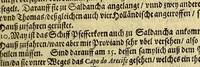 An illustration from Der dreyzehende Theil der Orientalischen Indien, darinnen beneben etlichen newen, gedenckwürdigen Schiffarten vnd Reysen, so von vnterschiedlichen Völckern, sonderlich den Portugesen, Englischen vnd Holländern, in Ost Indien, vnd dem anstossende Königreich, vom Jahr 1615. biss vff 1628. verrichtet worden. : Auch insonderheit andere biss anhero unbekandte Königreich vnnd Länder, sonderlich das Königreich Indostan, oder dess grossen Mogols, Königreich China, Persien, wie auch Moscaw, Reussen, Groenlandt, Tartarey, Algier, und andere angräntzenden Provintzen, von newem beschrieben, und mit erst erfundenen Landtaffeln vor Augen gestellet worden. Alles mit sonderbaren schönen Kupfferstücken gezieret. Mit Köm. Keys. Maj. Freyheit begnadet (1628)