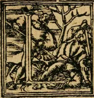An illustration from De re aedificatoria libri decem (1541)