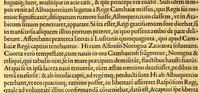 Picture 7 of 8 from De rebus, Emmanuelis regis Lusitaniæ inuictissimi virtute et auspicio gestis libri duodecim. (1571), leaf 272