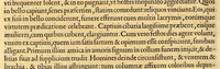 An illustration from De rebus, Emmanuelis regis Lusitaniæ inuictissimi virtute et auspicio gestis libri duodecim. (1571)