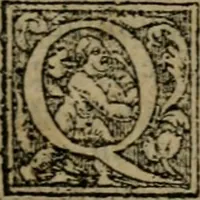 Picture 20 of 100 from De rerum varietate, libri XVII (1558), leaf 210