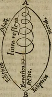Picture 29 of 100 from De rerum varietate, libri XVII (1558), leaf 482