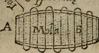 An illustration from De rerum varietate, libri XVII (1558)