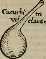 Picture 45 of 100 from De rerum varietate, libri XVII (1558), leaf 525