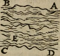 Picture 51 of 100 from De rerum varietate, libri XVII (1558), leaf 559