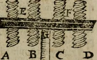 Picture 54 of 100 from De rerum varietate, libri XVII (1558), leaf 564