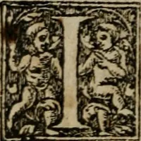 Picture 55 of 100 from De rerum varietate, libri XVII (1558), leaf 567