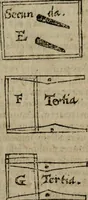 Picture 60 of 100 from De rerum varietate, libri XVII (1558), leaf 578