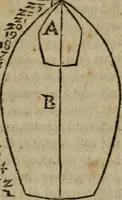 Picture 61 of 100 from De rerum varietate, libri XVII (1558), leaf 590
