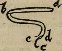 Picture 71 of 100 from De rerum varietate, libri XVII (1558), leaf 639