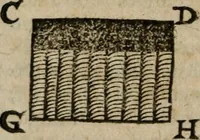 Picture 85 of 100 from De rerum varietate, libri XVII (1558), leaf 655