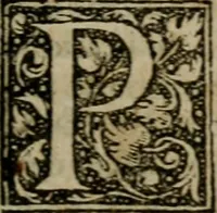 Picture 92 of 100 from De rerum varietate, libri XVII (1558), leaf 732