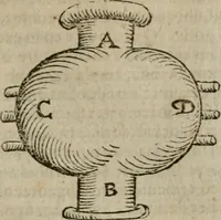 Picture 7 of 100 from De rerum varietate, libri XVII (1558), leaf 78