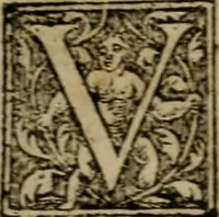 Picture 96 of 100 from De rerum varietate, libri XVII (1558), leaf 794