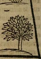 An illustration from De rerum varietate, libri XVII (1558)