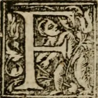 Picture 99 of 100 from De rerum varietate, libri XVII (1558), leaf 869