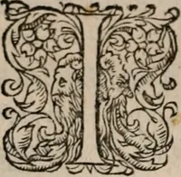 An illustration from De re vestiaria, vascularia & nauali (1553)