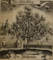 An illustration from Der Fruchtbringenden Geselschaft Nahmen, Vorhaben, Gemählde und Wörter : nach jedes Einnahme ordentlich in Kupfer gestochen, und in achtzeilige Reimgesetze verfasset (1646)
