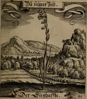 An illustration from Der Fruchtbringenden Geselschaft Nahmen, Vorhaben, Gemählde und Wörter : nach jedes Einnahme ordentlich in Kupfer gestochen, und in achtzeilige Reimgesetze verfasset (1646)