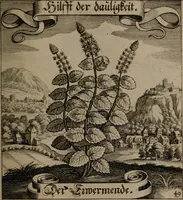 An illustration from Der Fruchtbringenden Geselschaft Nahmen, Vorhaben, Gemählde und Wörter : nach jedes Einnahme ordentlich in Kupfer gestochen, und in achtzeilige Reimgesetze verfasset (1646)
