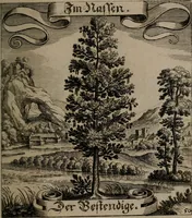 An illustration from Der Fruchtbringenden Geselschaft Nahmen, Vorhaben, Gemählde und Wörter : nach jedes Einnahme ordentlich in Kupfer gestochen, und in achtzeilige Reimgesetze verfasset (1646)