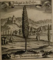 An illustration from Der Fruchtbringenden Geselschaft Nahmen, Vorhaben, Gemählde und Wörter : nach jedes Einnahme ordentlich in Kupfer gestochen, und in achtzeilige Reimgesetze verfasset (1646)