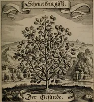 An illustration from Der Fruchtbringenden Geselschaft Nahmen, Vorhaben, Gemählde und Wörter : nach jedes Einnahme ordentlich in Kupfer gestochen, und in achtzeilige Reimgesetze verfasset (1646)