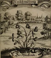 An illustration from Der Fruchtbringenden Geselschaft Nahmen, Vorhaben, Gemählde und Wörter : nach jedes Einnahme ordentlich in Kupfer gestochen, und in achtzeilige Reimgesetze verfasset (1646)