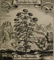 An illustration from Der Fruchtbringenden Geselschaft Nahmen, Vorhaben, Gemählde und Wörter : nach jedes Einnahme ordentlich in Kupfer gestochen, und in achtzeilige Reimgesetze verfasset (1646)