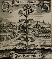 An illustration from Der Fruchtbringenden Geselschaft Nahmen, Vorhaben, Gemählde und Wörter : nach jedes Einnahme ordentlich in Kupfer gestochen, und in achtzeilige Reimgesetze verfasset (1646)