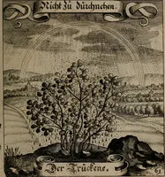 An illustration from Der Fruchtbringenden Geselschaft Nahmen, Vorhaben, Gemählde und Wörter : nach jedes Einnahme ordentlich in Kupfer gestochen, und in achtzeilige Reimgesetze verfasset (1646)