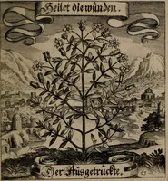 An illustration from Der Fruchtbringenden Geselschaft Nahmen, Vorhaben, Gemählde und Wörter : nach jedes Einnahme ordentlich in Kupfer gestochen, und in achtzeilige Reimgesetze verfasset (1646)