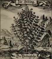 An illustration from Der Fruchtbringenden Geselschaft Nahmen, Vorhaben, Gemählde und Wörter : nach jedes Einnahme ordentlich in Kupfer gestochen, und in achtzeilige Reimgesetze verfasset (1646)