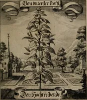 An illustration from Der Fruchtbringenden Geselschaft Nahmen, Vorhaben, Gemählde und Wörter : nach jedes Einnahme ordentlich in Kupfer gestochen, und in achtzeilige Reimgesetze verfasset (1646)