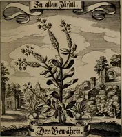 An illustration from Der Fruchtbringenden Geselschaft Nahmen, Vorhaben, Gemählde und Wörter : nach jedes Einnahme ordentlich in Kupfer gestochen, und in achtzeilige Reimgesetze verfasset (1646)