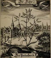 An illustration from Der Fruchtbringenden Geselschaft Nahmen, Vorhaben, Gemählde und Wörter : nach jedes Einnahme ordentlich in Kupfer gestochen, und in achtzeilige Reimgesetze verfasset (1646)