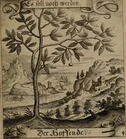 An illustration from Der Fruchtbringenden Geselschaft Nahmen, Vorhaben, Gemählde und Wörter : nach jedes Einnahme ordentlich in Kupfer gestochen, und in achtzeilige Reimgesetze verfasset (1646)