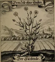 An illustration from Der Fruchtbringenden Geselschaft Nahmen, Vorhaben, Gemählde und Wörter : nach jedes Einnahme ordentlich in Kupfer gestochen, und in achtzeilige Reimgesetze verfasset (1646)
