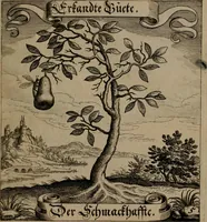 An illustration from Der Fruchtbringenden Geselschaft Nahmen, Vorhaben, Gemählde und Wörter : nach jedes Einnahme ordentlich in Kupfer gestochen, und in achtzeilige Reimgesetze verfasset (1646)