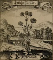 An illustration from Der Fruchtbringenden Geselschaft Nahmen, Vorhaben, Gemählde und Wörter : nach jedes Einnahme ordentlich in Kupfer gestochen, und in achtzeilige Reimgesetze verfasset (1646)