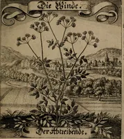 An illustration from Der Fruchtbringenden Geselschaft Nahmen, Vorhaben, Gemählde und Wörter : nach jedes Einnahme ordentlich in Kupfer gestochen, und in achtzeilige Reimgesetze verfasset (1646)