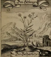An illustration from Der Fruchtbringenden Geselschaft Nahmen, Vorhaben, Gemählde und Wörter : nach jedes Einnahme ordentlich in Kupfer gestochen, und in achtzeilige Reimgesetze verfasset (1646)
