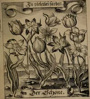 An illustration from Der Fruchtbringenden Geselschaft Nahmen, Vorhaben, Gemählde und Wörter : nach jedes Einnahme ordentlich in Kupfer gestochen, und in achtzeilige Reimgesetze verfasset (1646)