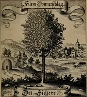 An illustration from Der Fruchtbringenden Geselschaft Nahmen, Vorhaben, Gemählde und Wörter : nach jedes Einnahme ordentlich in Kupfer gestochen, und in achtzeilige Reimgesetze verfasset (1646)
