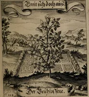 An illustration from Der Fruchtbringenden Geselschaft Nahmen, Vorhaben, Gemählde und Wörter : nach jedes Einnahme ordentlich in Kupfer gestochen, und in achtzeilige Reimgesetze verfasset (1646)