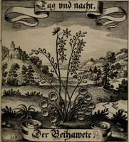 An illustration from Der Fruchtbringenden Geselschaft Nahmen, Vorhaben, Gemählde und Wörter : nach jedes Einnahme ordentlich in Kupfer gestochen, und in achtzeilige Reimgesetze verfasset (1646)